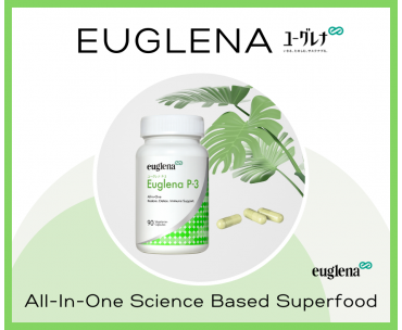 Euglena